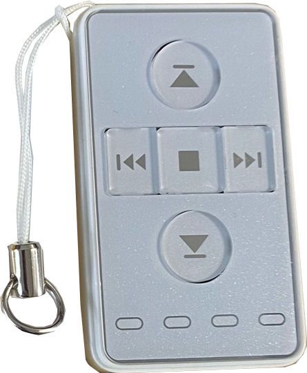 Ellard Genuine Remote Control Handset for Group Control Unit AC129-04